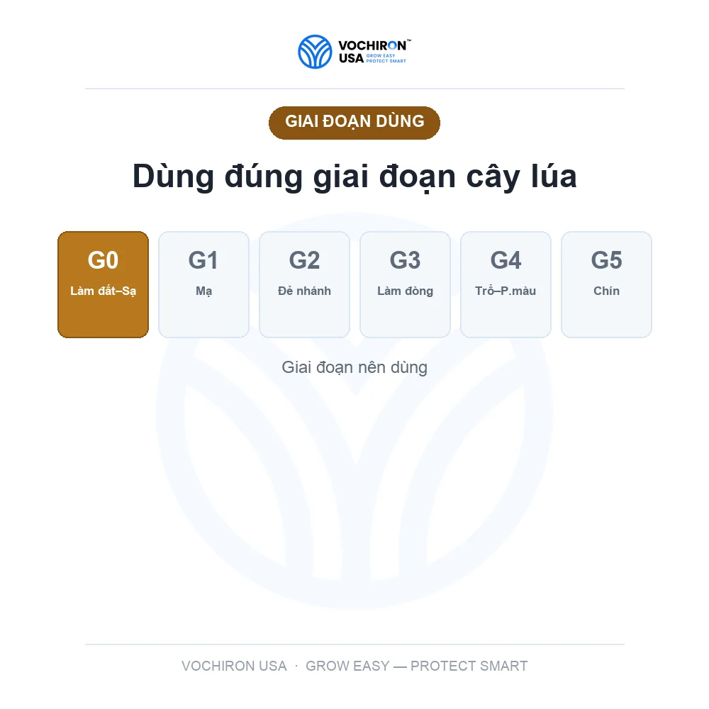 Nếp IR4625 — slide 6