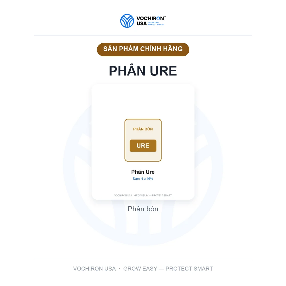 Phân Ure — slide 1