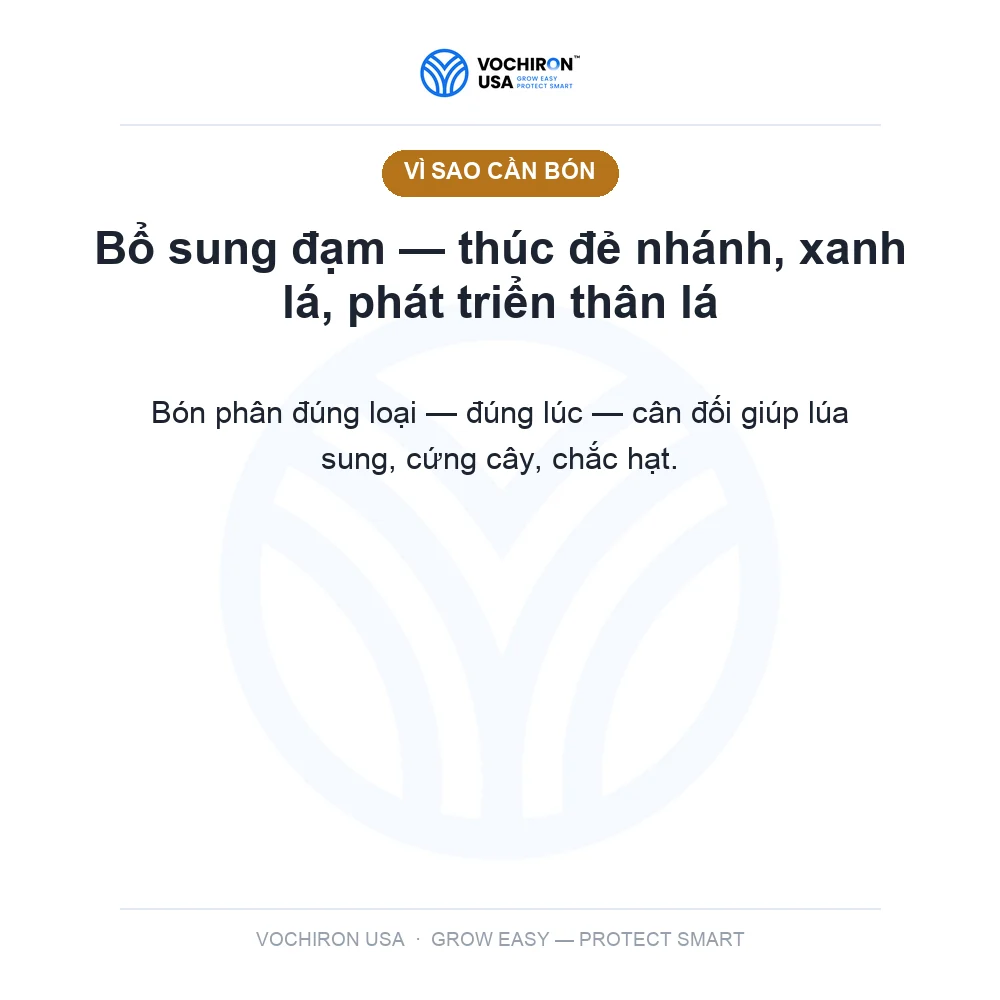 Phân Ure — slide 2
