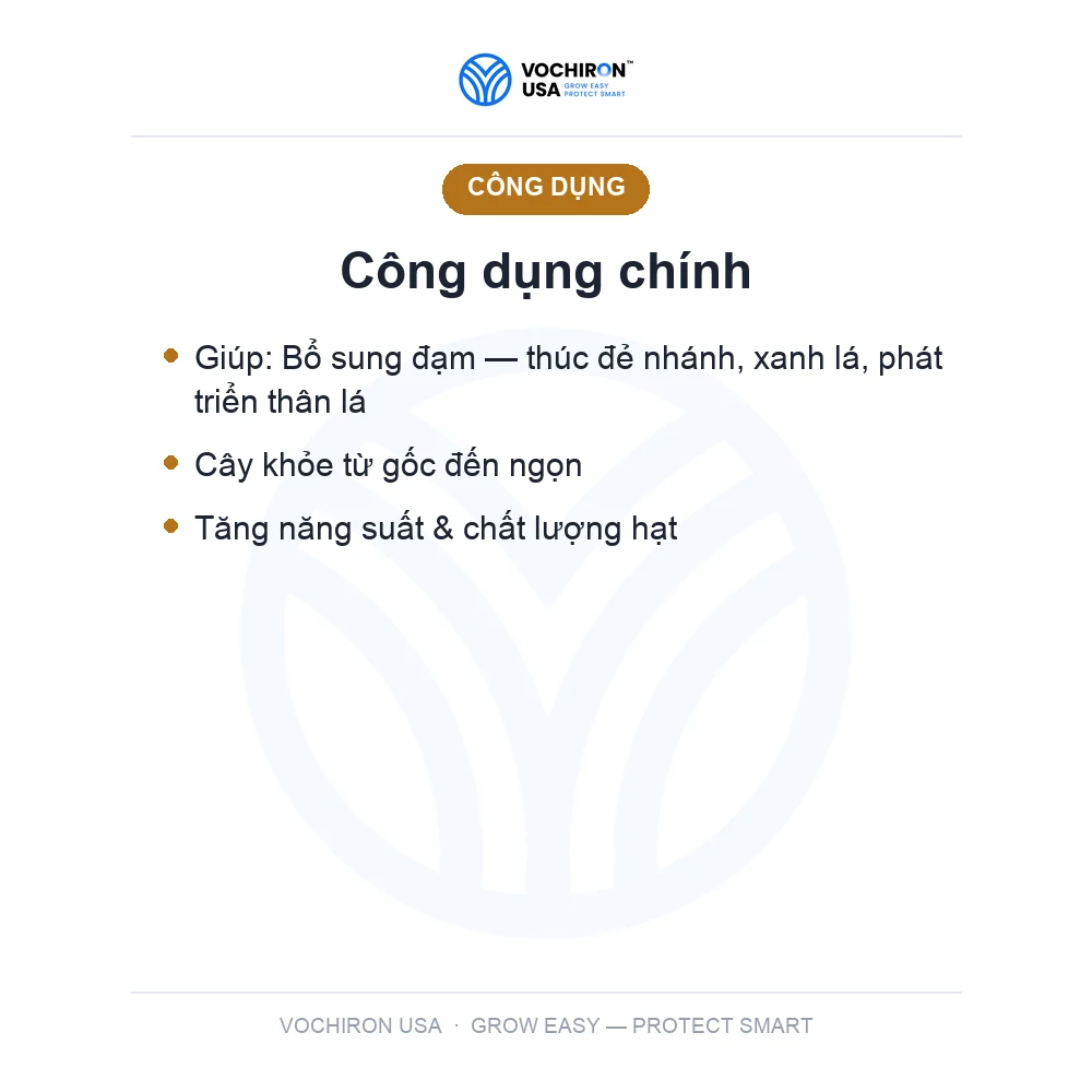 Phân Ure — slide 3