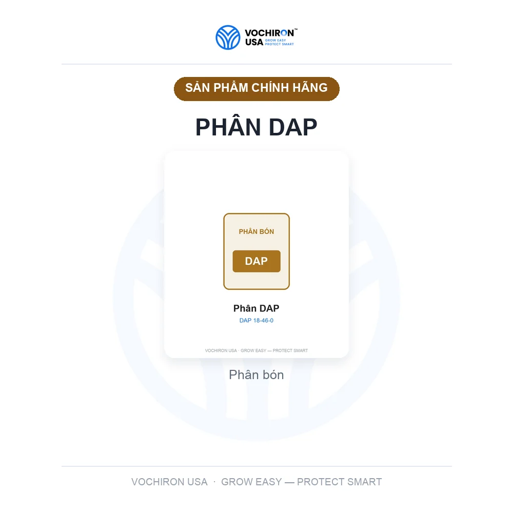 Phân DAP — slide 1