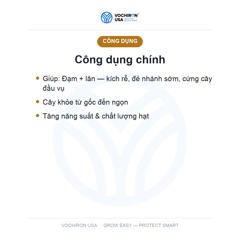 Phân DAP — slide 3