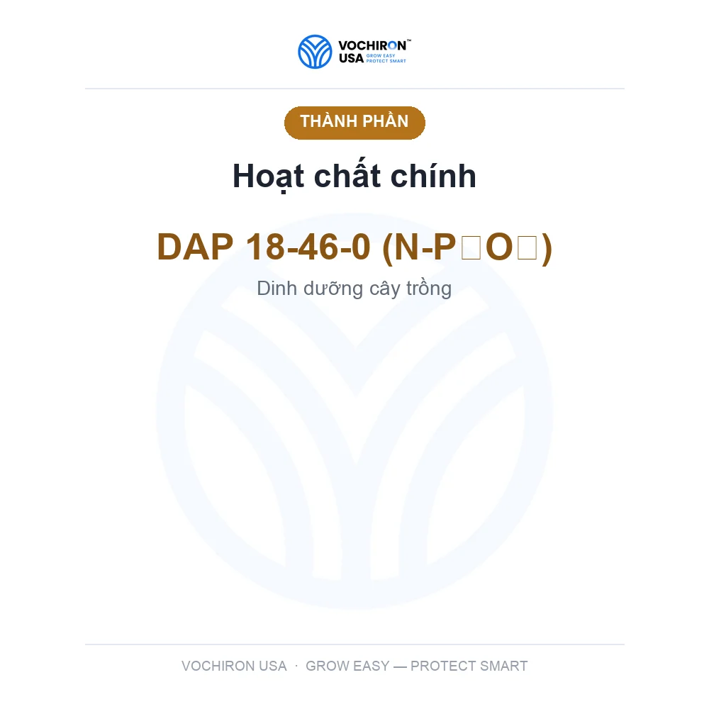 Phân DAP — slide 4