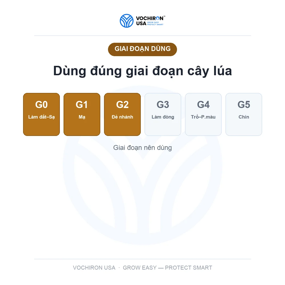 Phân DAP — slide 6