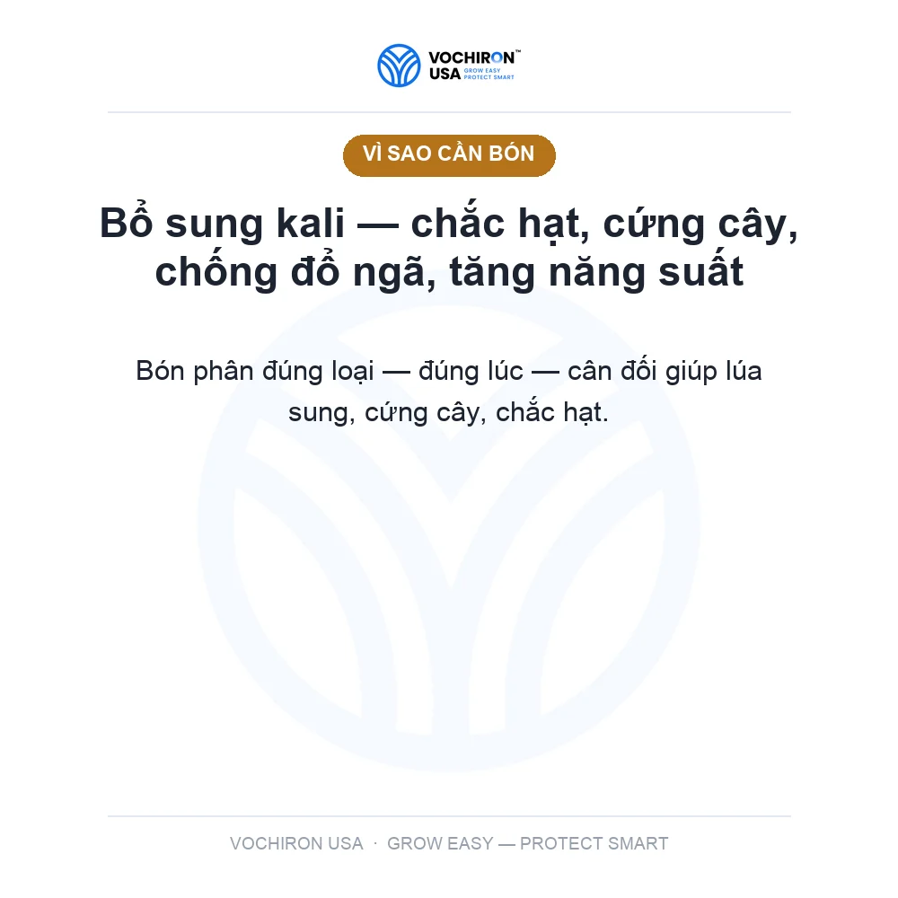 Phân Kali — slide 2