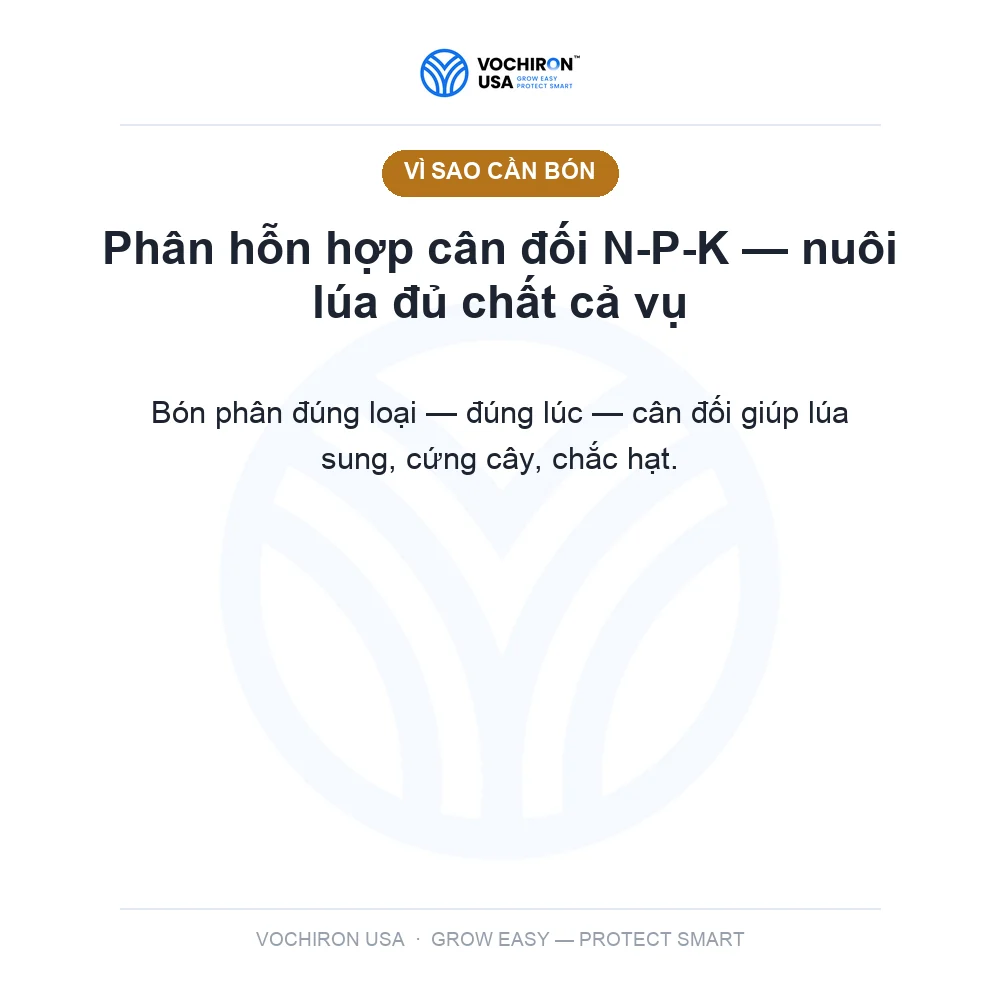 Phân NPK — slide 2