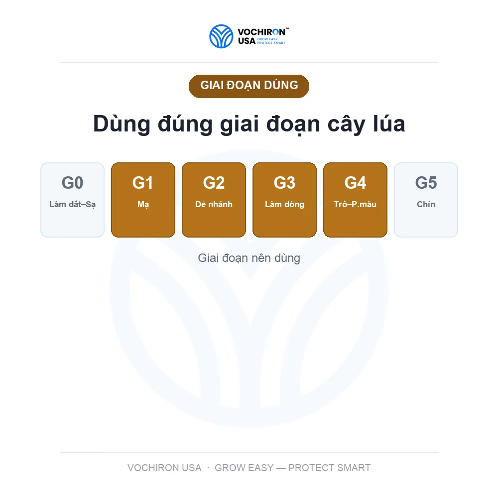 Phân NPK — slide 6