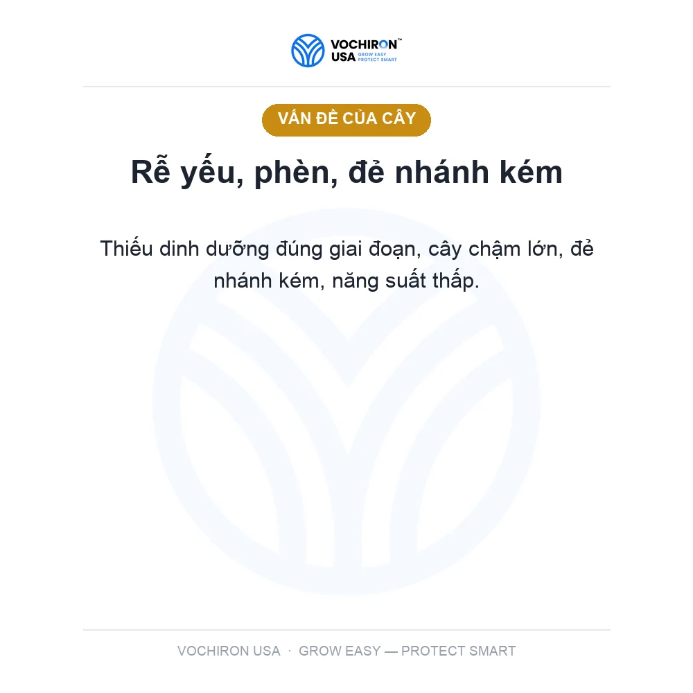 GÓI BIO RA RỂ HẠ PHÈN NỞ BỤI 50gr — slide 2