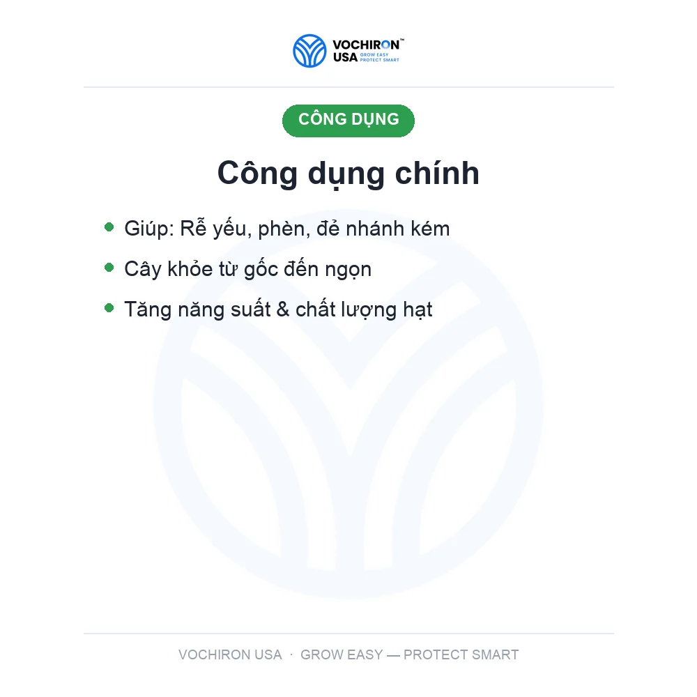 GÓI BIO RA RỂ HẠ PHÈN NỞ BỤI 50gr — slide 3