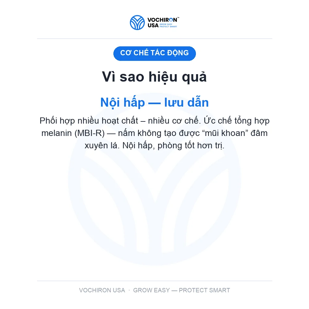 KATY USA ĐẠO ÔN 3 hoạt chất tricy iso hexa — slide 3