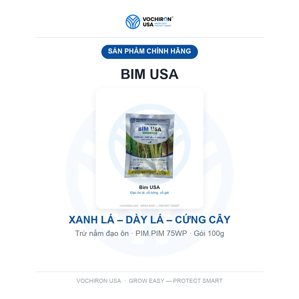 BIM USA 100gr đạo ôn — slide 1