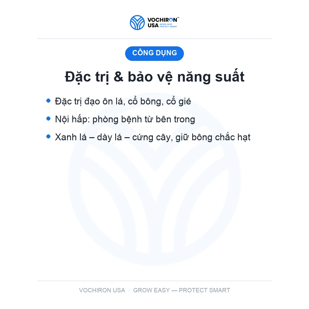 BIM USA 100gr đạo ôn — slide 5