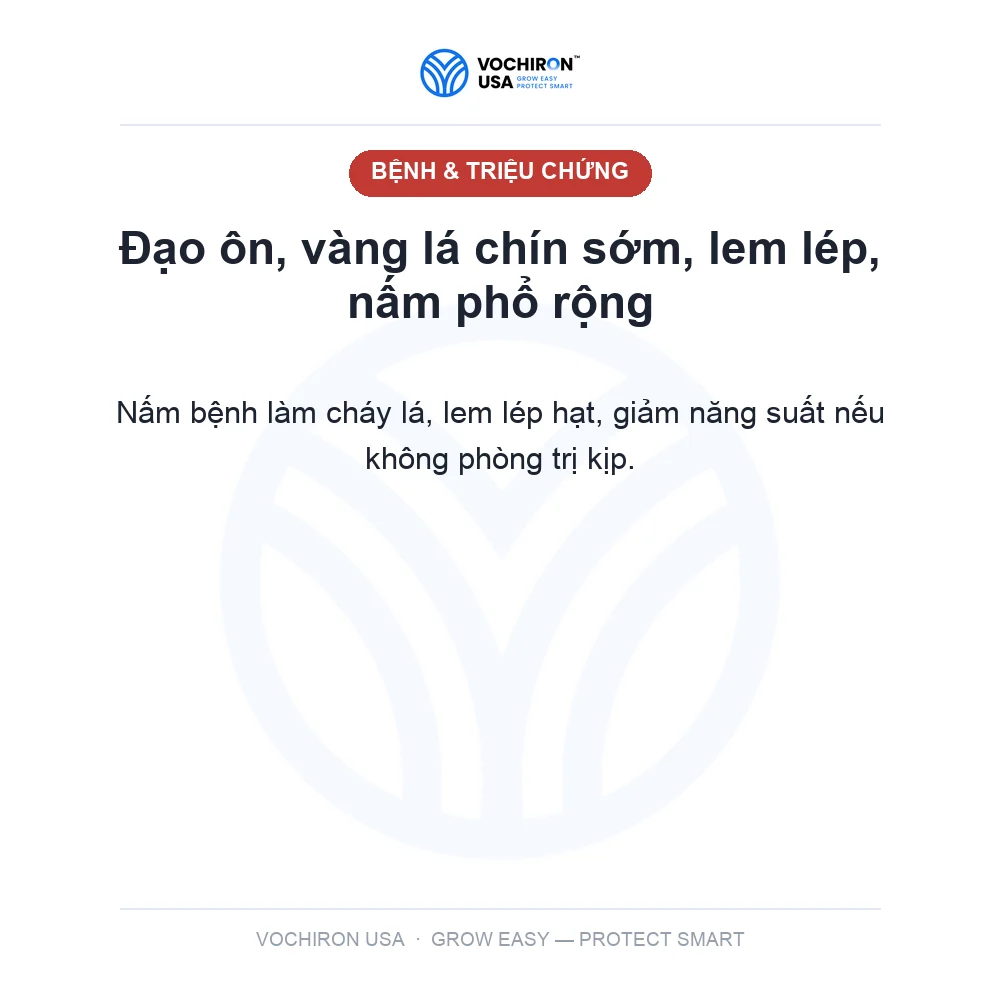 Thần Y Pirastar (diệt sạch đạo ôn, vàng lá chín sớm, hơn 100 loại nấm bệnh) — slide 2