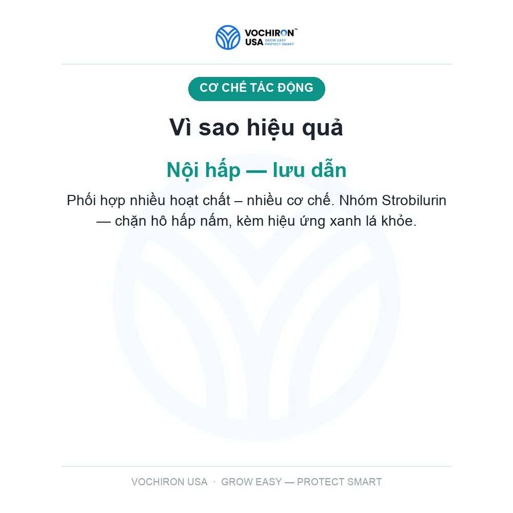 Thần Y Pirastar (diệt sạch đạo ôn, vàng lá chín sớm, hơn 100 loại nấm bệnh) — slide 3