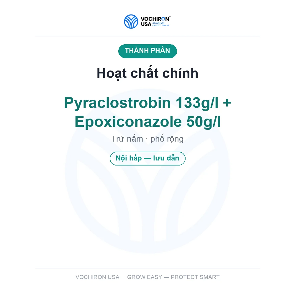 Thần Y Pirastar (diệt sạch đạo ôn, vàng lá chín sớm, hơn 100 loại nấm bệnh) — slide 4