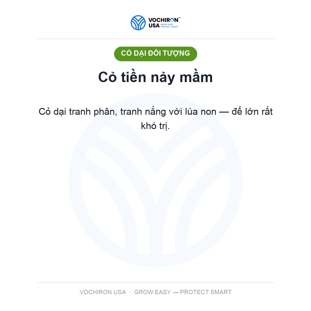 Diệt Mầm MỸ 500ml Tiêu Mầm — slide 2