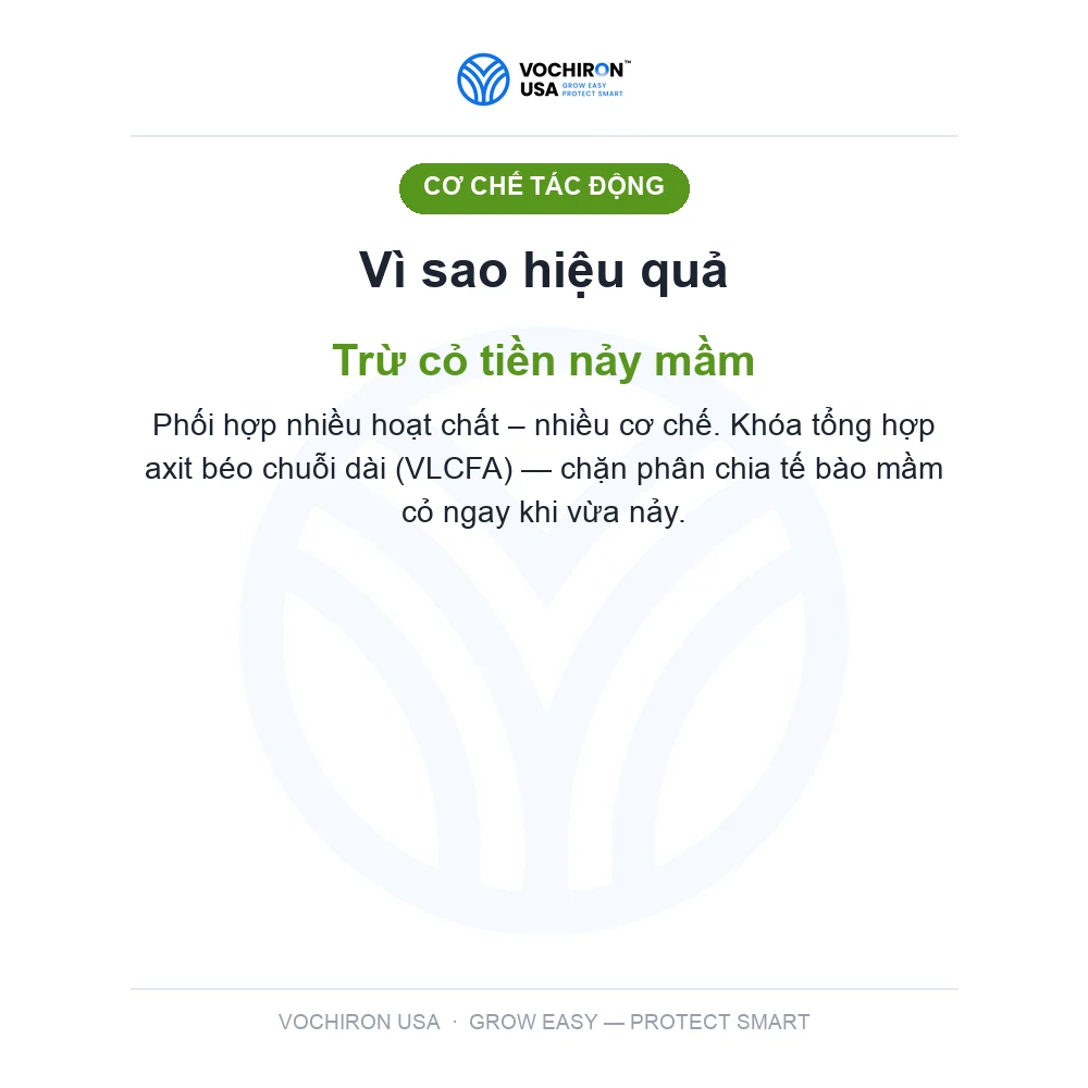 Diệt Mầm MỸ 500ml Tiêu Mầm — slide 3