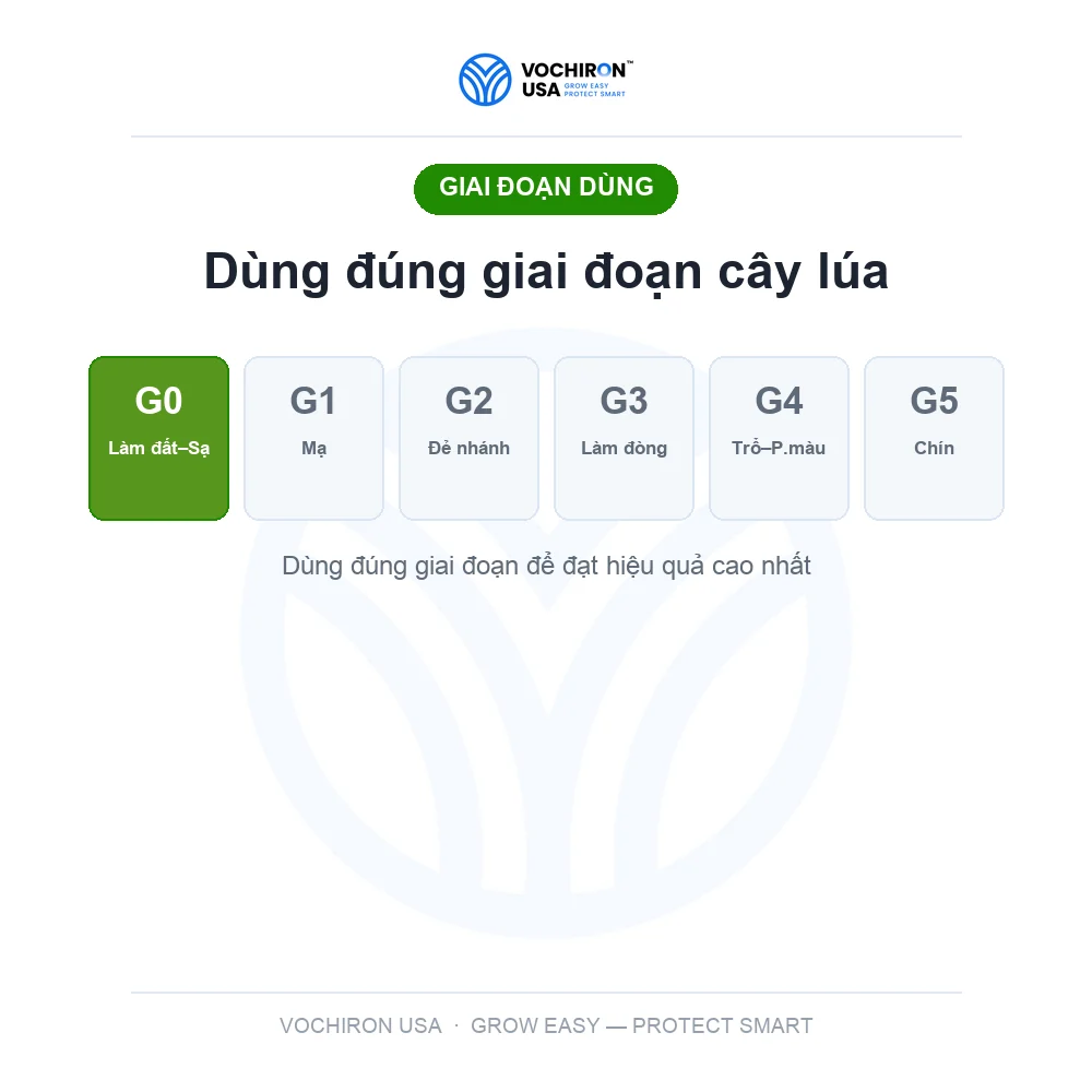 Diệt Mầm MỸ 500ml Tiêu Mầm — slide 7