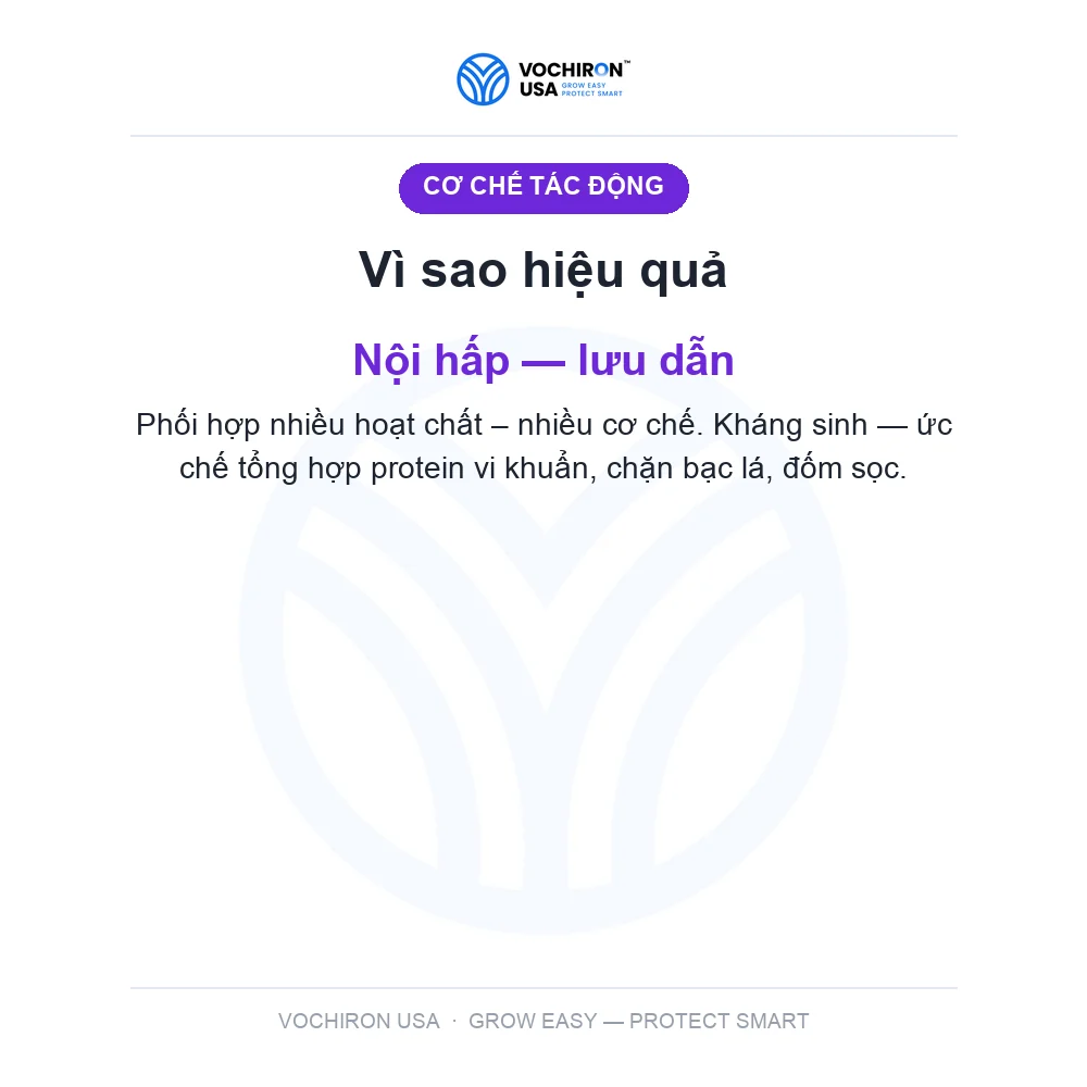 KHUẨN MỸ BIO USA 250wp 2 Hoạt chất 100gr — slide 3