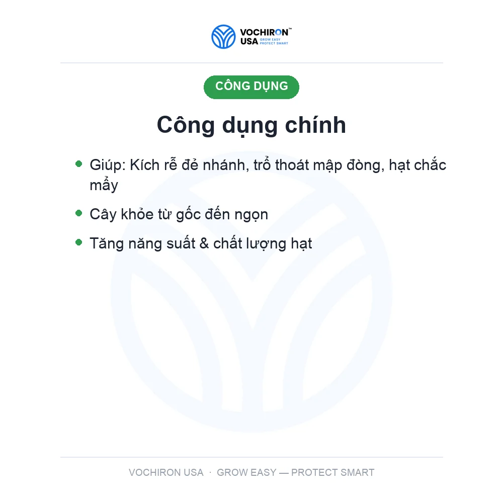 GINSENG NYRO 0.01SL 200ml (King Brassinolide) — slide 3