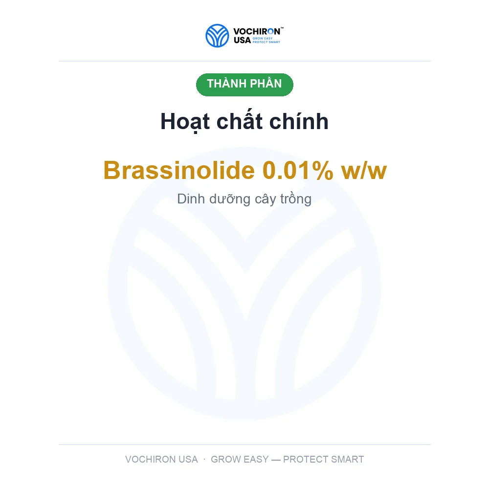 GINSENG NYRO 0.01SL 200ml (King Brassinolide) — slide 4