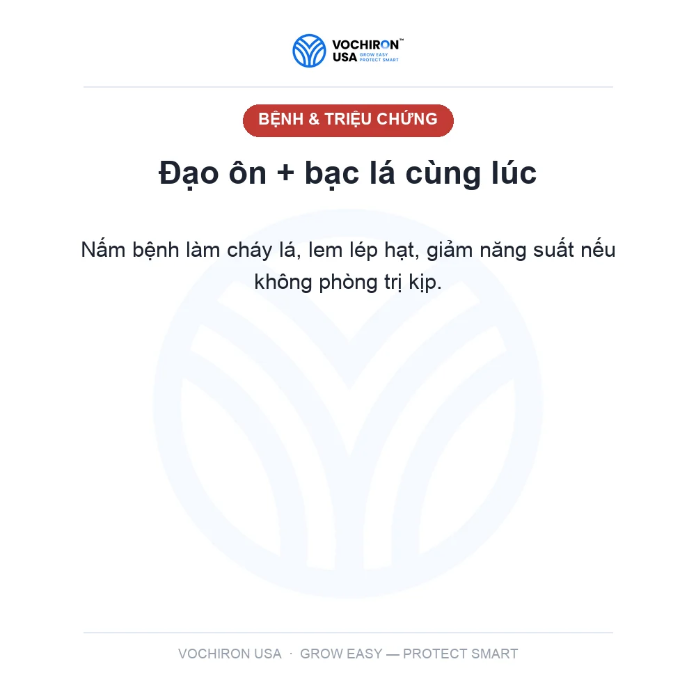 ANTIBAC 100gr (đạo ôn vi khuẩn 3 hoạt chất) — slide 2
