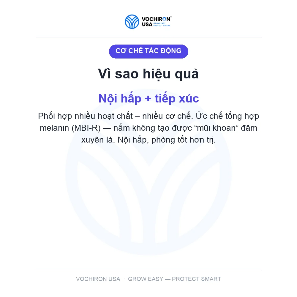 ANTIBAC 100gr (đạo ôn vi khuẩn 3 hoạt chất) — slide 3