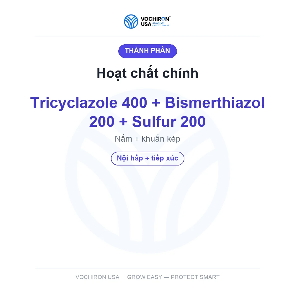 ANTIBAC 100gr (đạo ôn vi khuẩn 3 hoạt chất) — slide 4