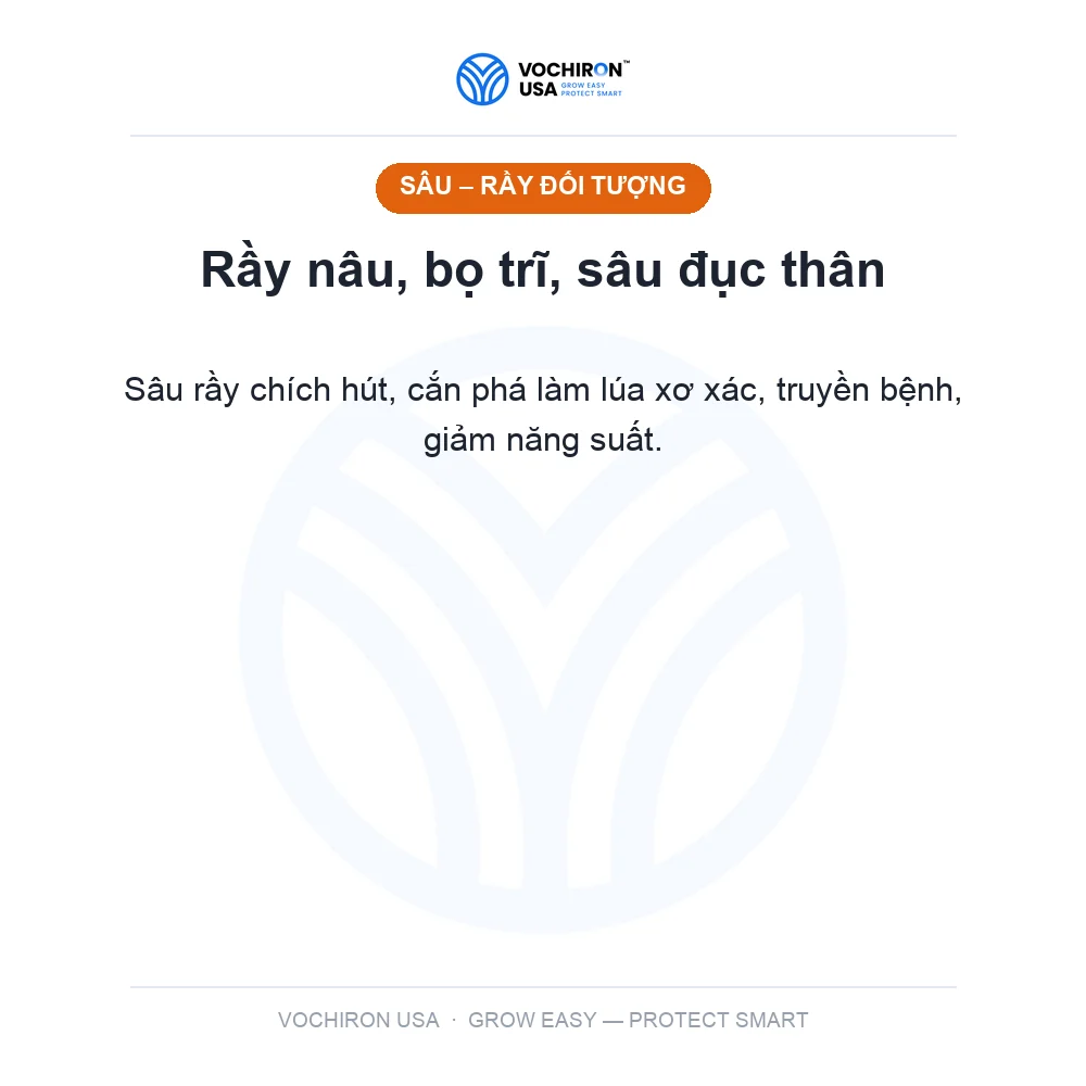 SÓI XÁM 100g Sói đỏ bản mới (sâu đục thân, rầy nâu) — slide 2