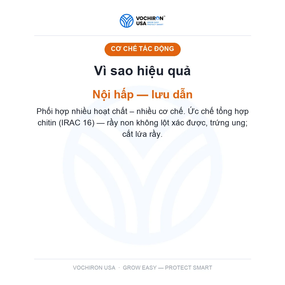SÓI XÁM 100g Sói đỏ bản mới (sâu đục thân, rầy nâu) — slide 3