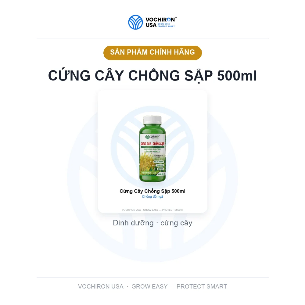 CỨNG CÂY CHỐNG SẬP 500ml — slide 1