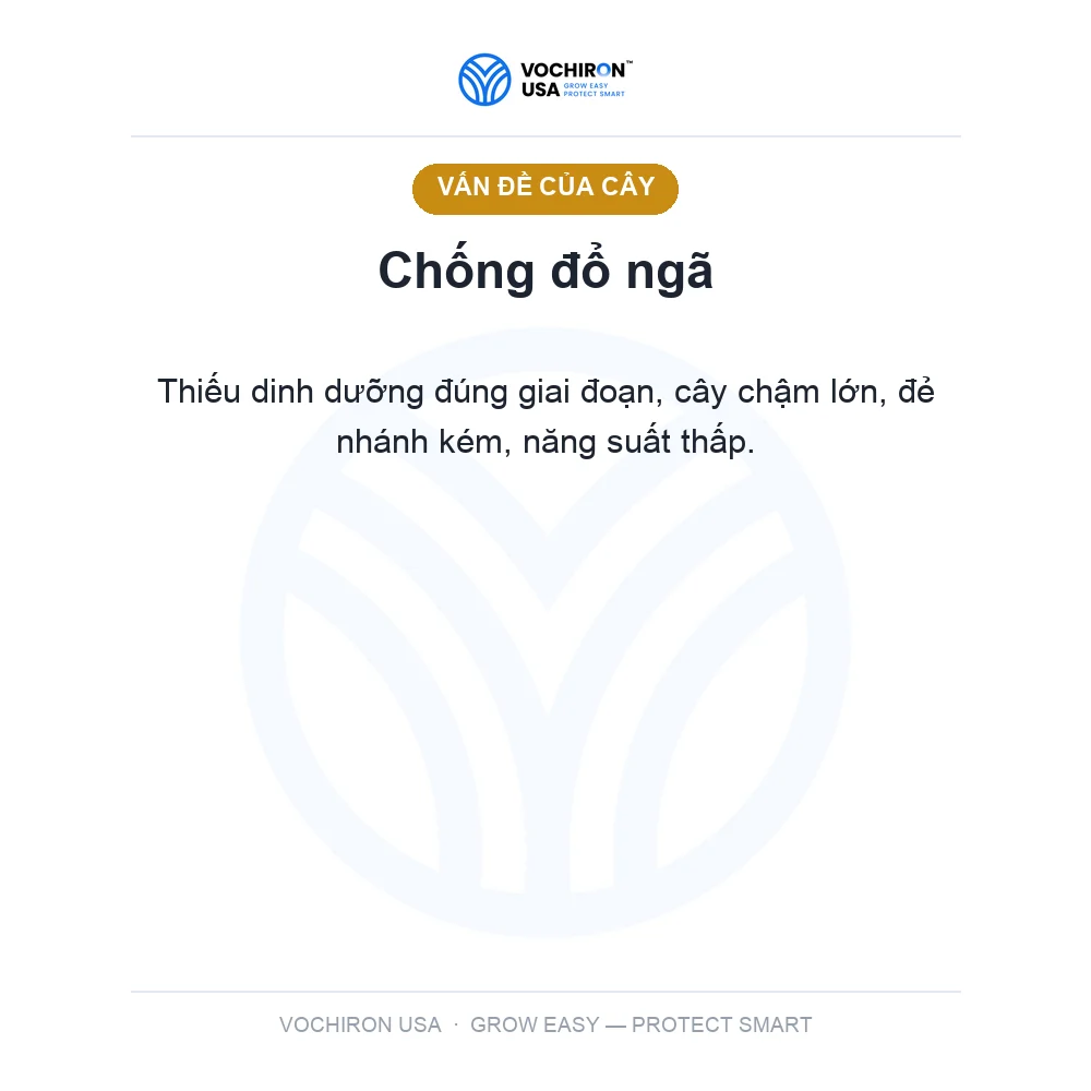 CỨNG CÂY CHỐNG SẬP 500ml — slide 2