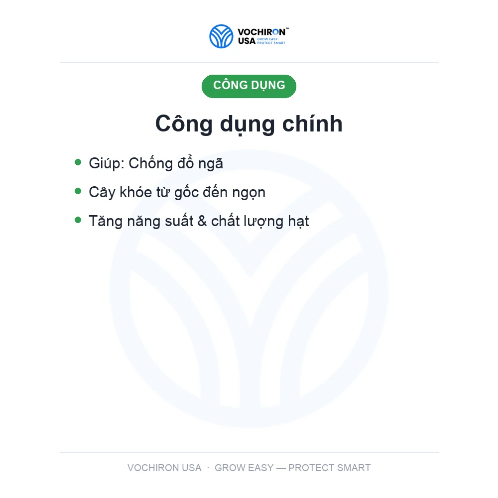 CỨNG CÂY CHỐNG SẬP 500ml — slide 3