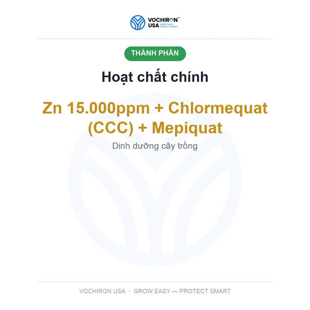CỨNG CÂY CHỐNG SẬP 500ml — slide 4