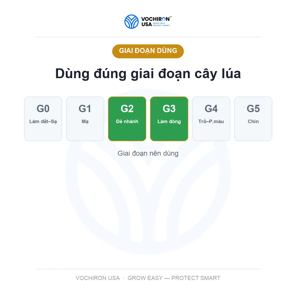CỨNG CÂY CHỐNG SẬP 500ml — slide 6