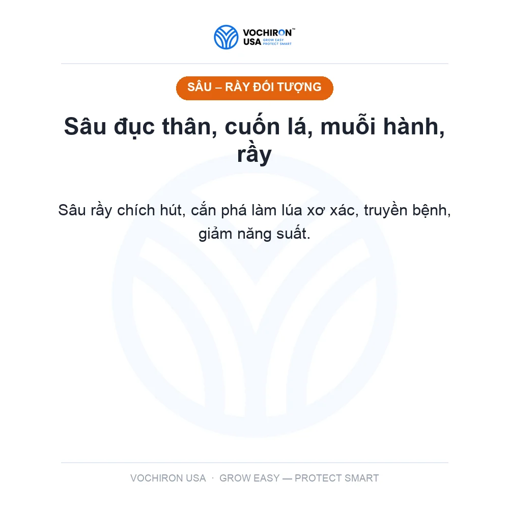 PADAN LEDAN USA (cartap, imidac, sâu đục thân, cuốn lá) 100gr — slide 2