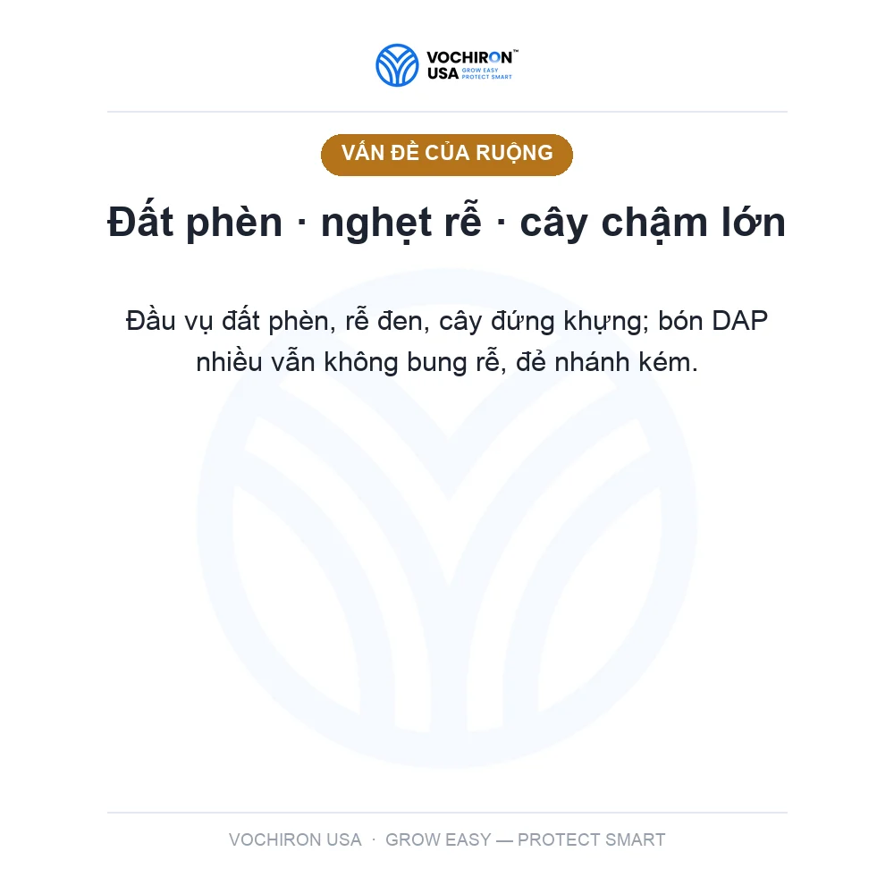 HUMIC THAY THẾ DAP SIHU NEW ĐỎ CỨNG CÂY 1 KG — slide 2