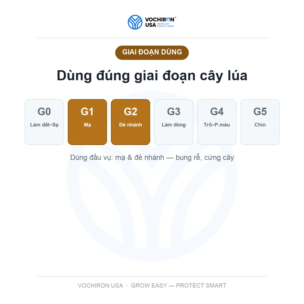 HUMIC THAY THẾ DAP SIHU NEW ĐỎ CỨNG CÂY 1 KG — slide 6