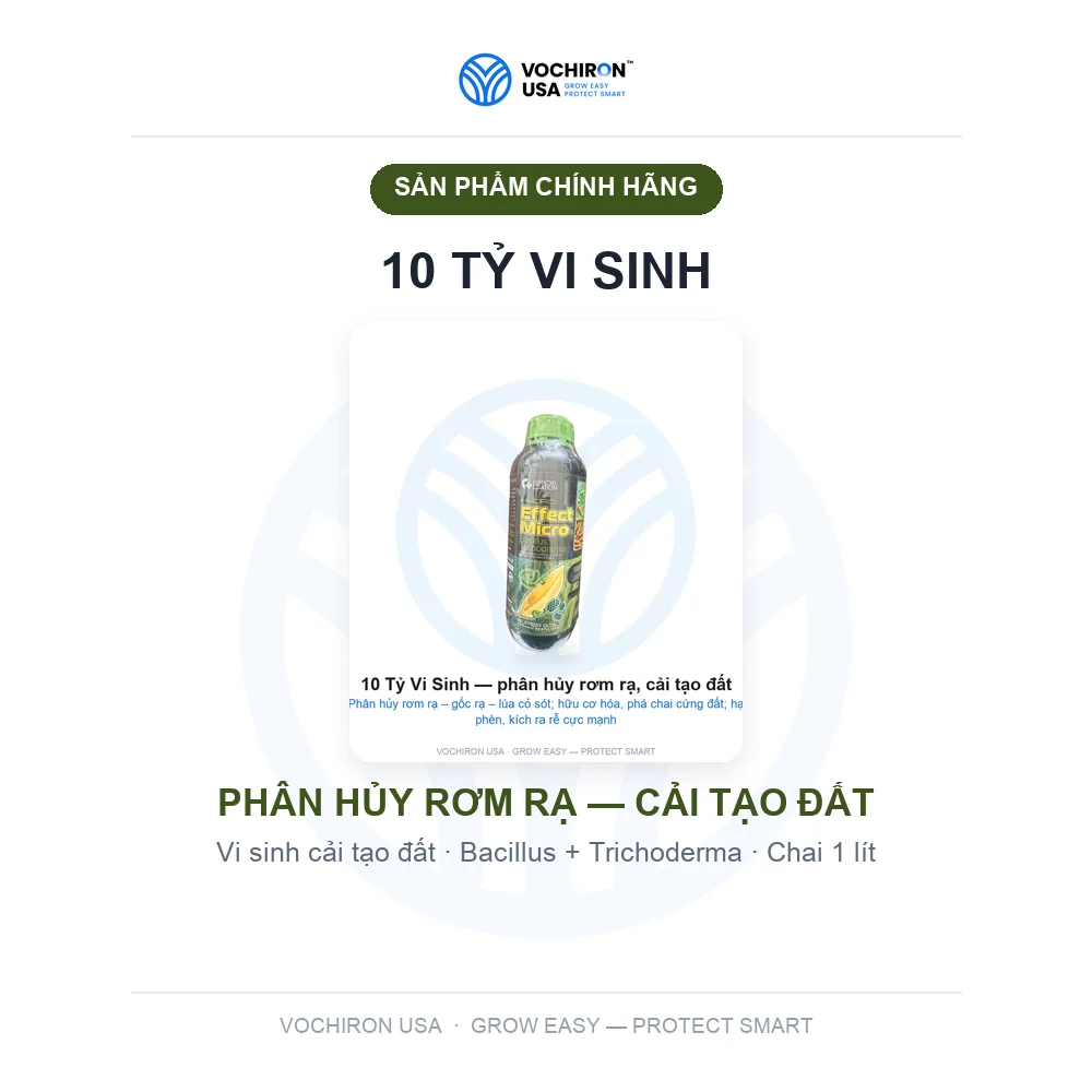 10 Tỷ Vi Sinh — phân hủy rơm rạ, cải tạo đất — slide 1