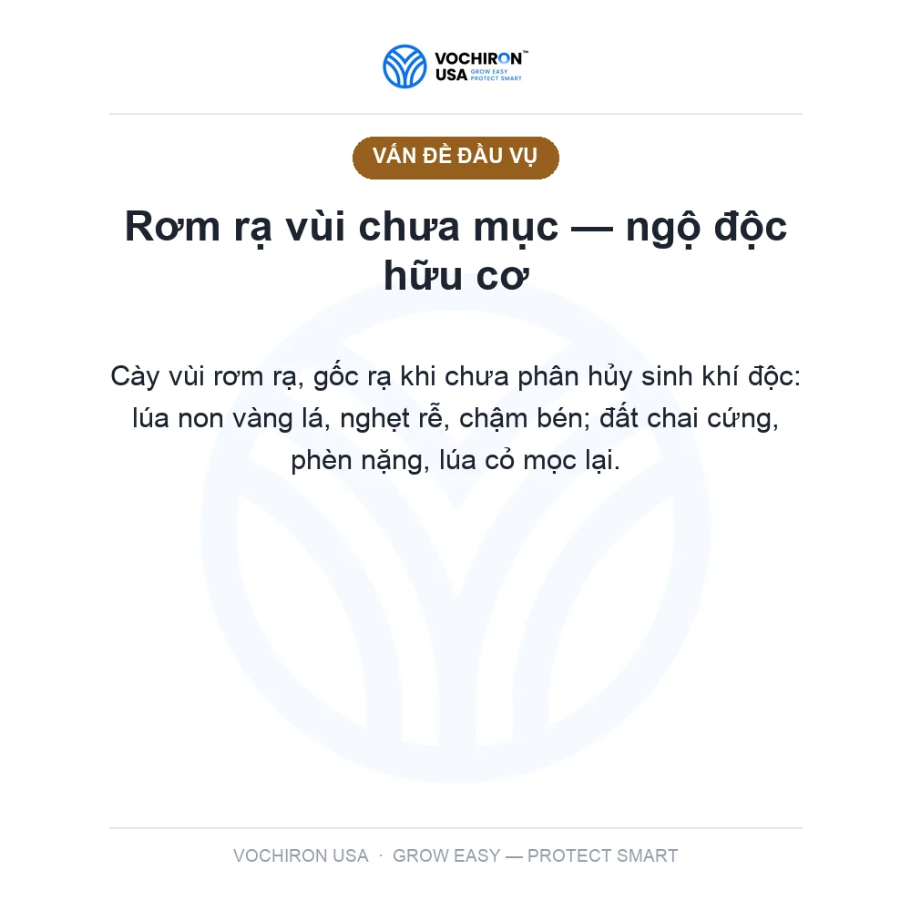 10 Tỷ Vi Sinh — phân hủy rơm rạ, cải tạo đất — slide 2