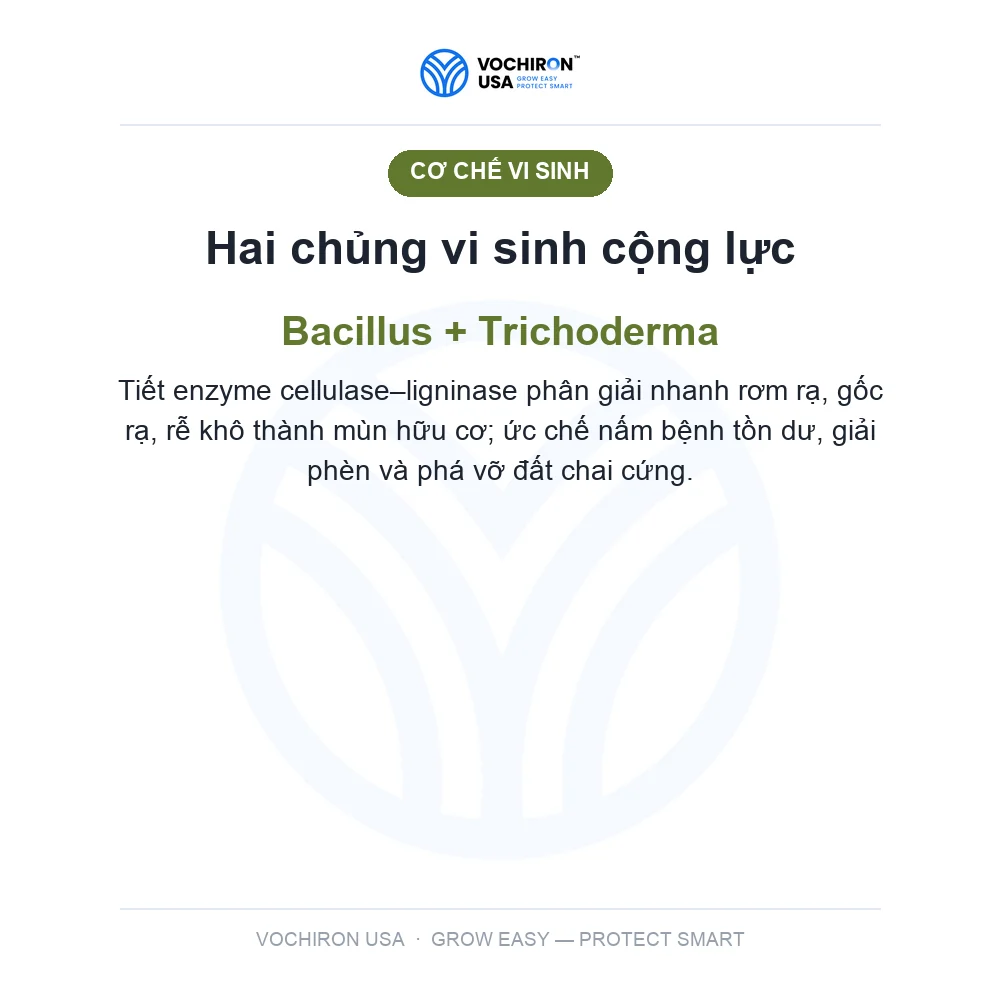 10 Tỷ Vi Sinh — phân hủy rơm rạ, cải tạo đất — slide 3