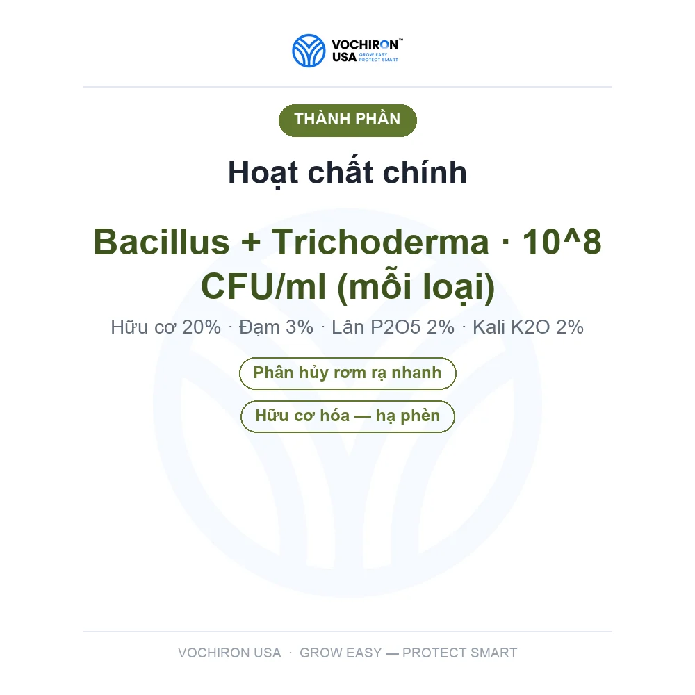 10 Tỷ Vi Sinh — phân hủy rơm rạ, cải tạo đất — slide 4