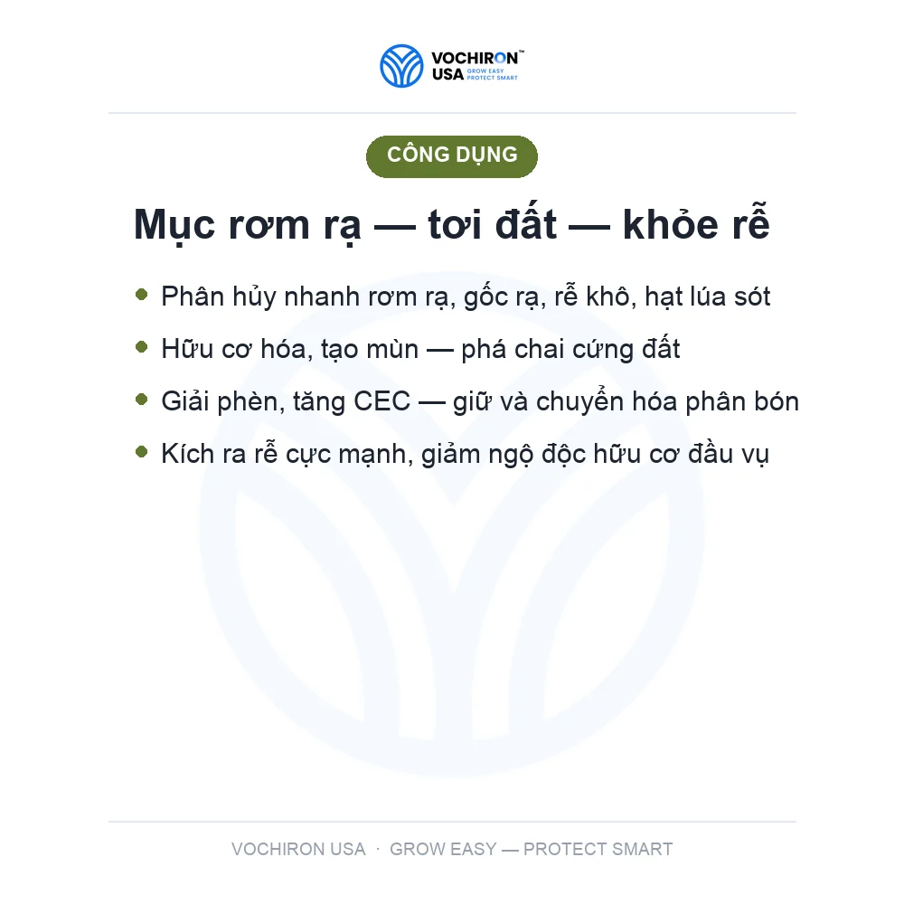 10 Tỷ Vi Sinh — phân hủy rơm rạ, cải tạo đất — slide 5
