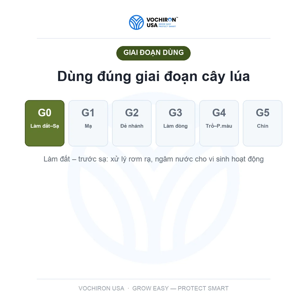 10 Tỷ Vi Sinh — phân hủy rơm rạ, cải tạo đất — slide 7