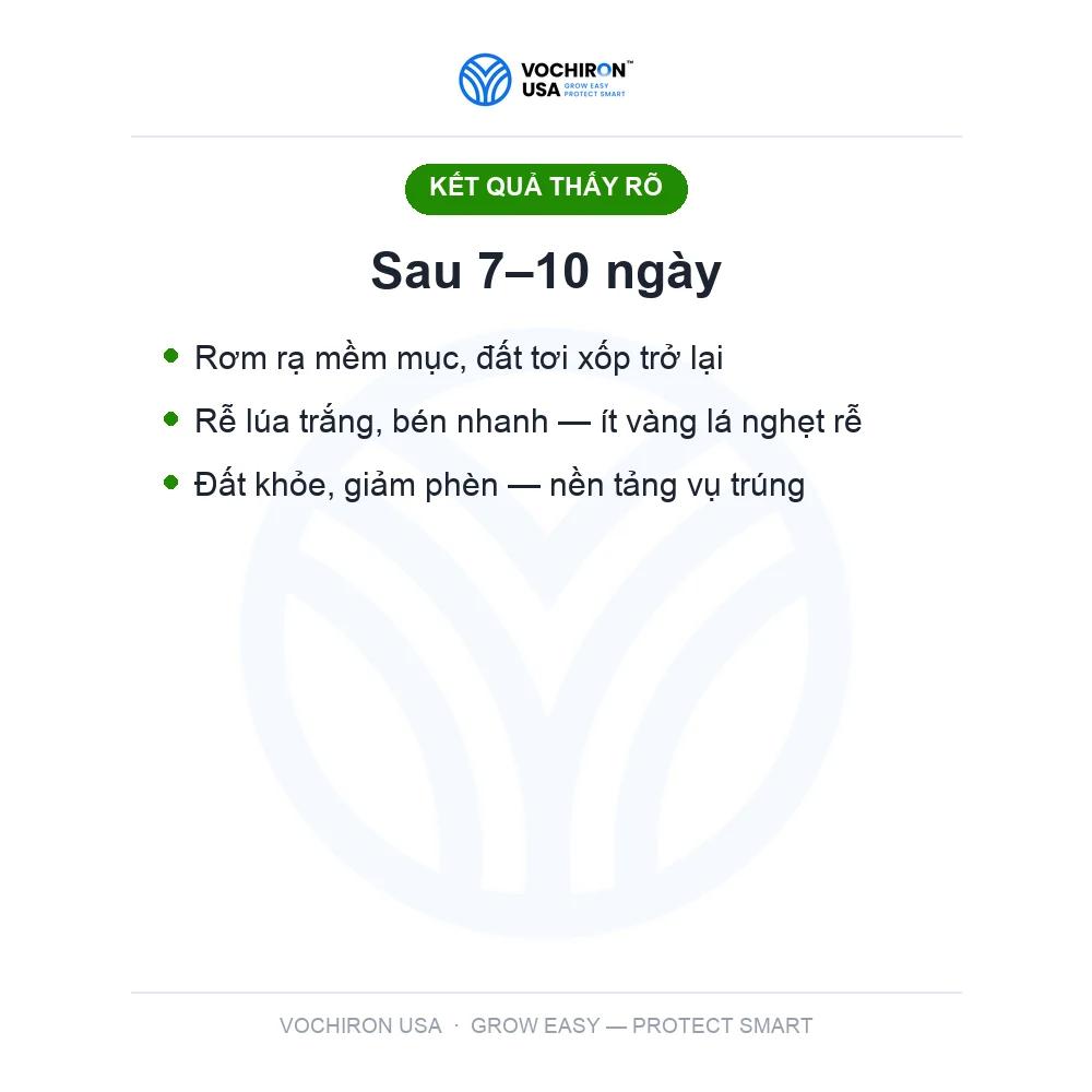 10 Tỷ Vi Sinh — phân hủy rơm rạ, cải tạo đất — slide 8