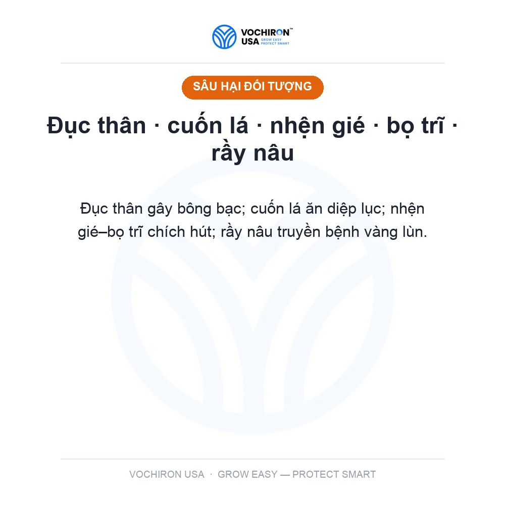 ICHIBIO Sâu đục thân, cuốn lá, nhện gié, bọ trĩ, rầy nâu — slide 2