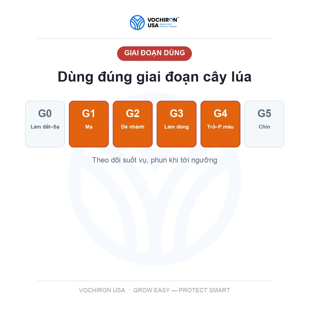 ICHIBIO Sâu đục thân, cuốn lá, nhện gié, bọ trĩ, rầy nâu — slide 7