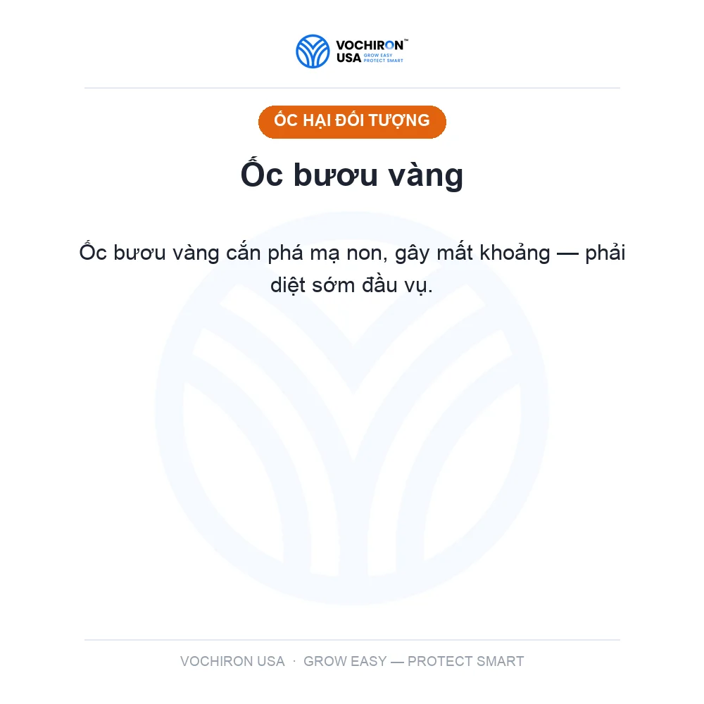 Siêu 3.6 siêu diệt ốc — slide 2