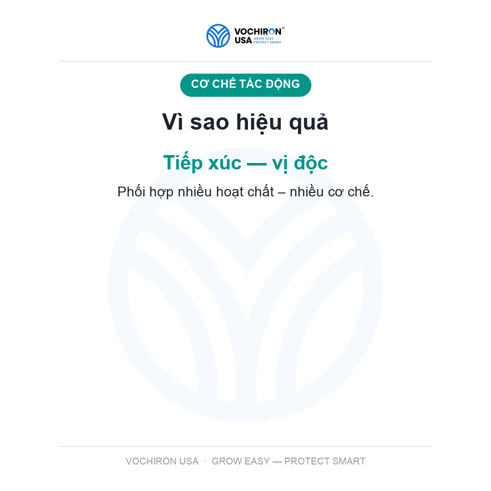 Siêu 3.6 siêu diệt ốc — slide 3