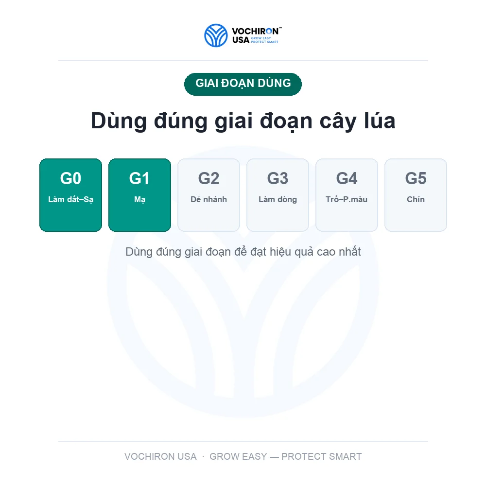 Siêu 3.6 siêu diệt ốc — slide 7